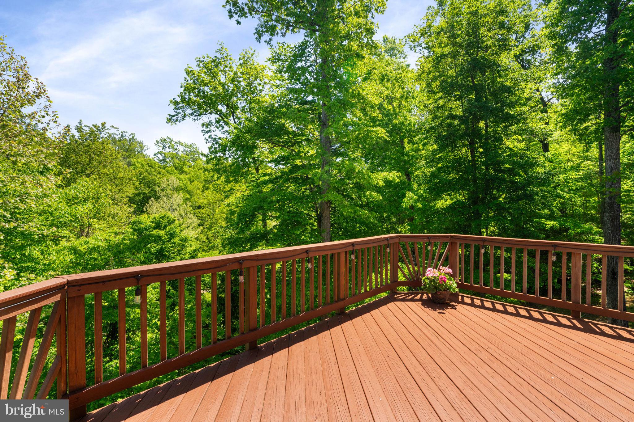 8000 Pohick Road Springfield, VA 22153 - Photo 67 of 85 Deck off Family Room