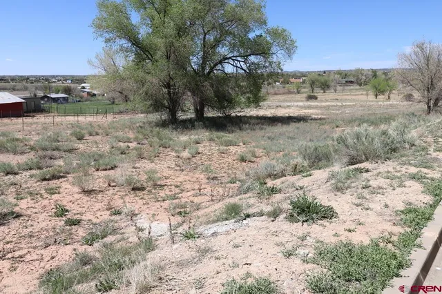 a view of lake view with lots of trees
