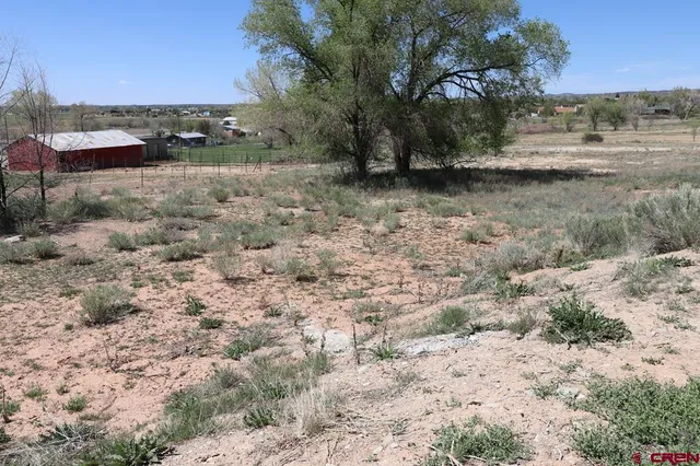 a view of a dry yard with wooden fence