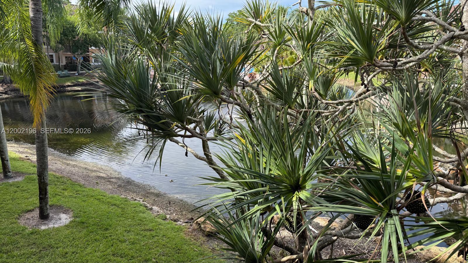 8871 Wiles Road, Unit 208 Coral Springs, FL 33067 - Photo 13 of 15 a view of backyard
