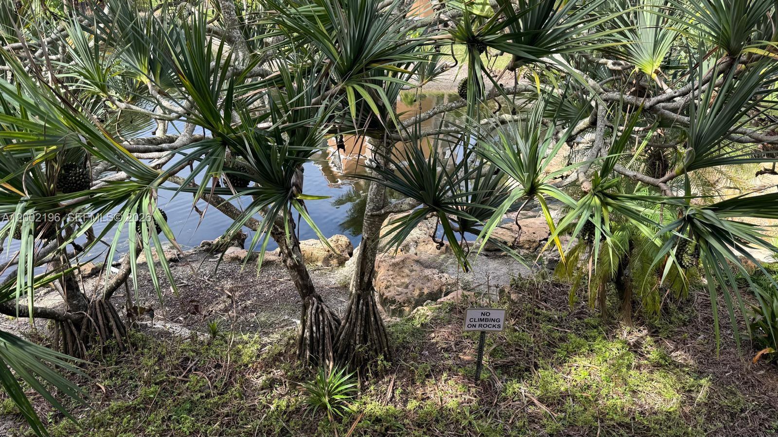 8871 Wiles Road, Unit 208 Coral Springs, FL 33067 - Photo 15 of 15 a view of a tree