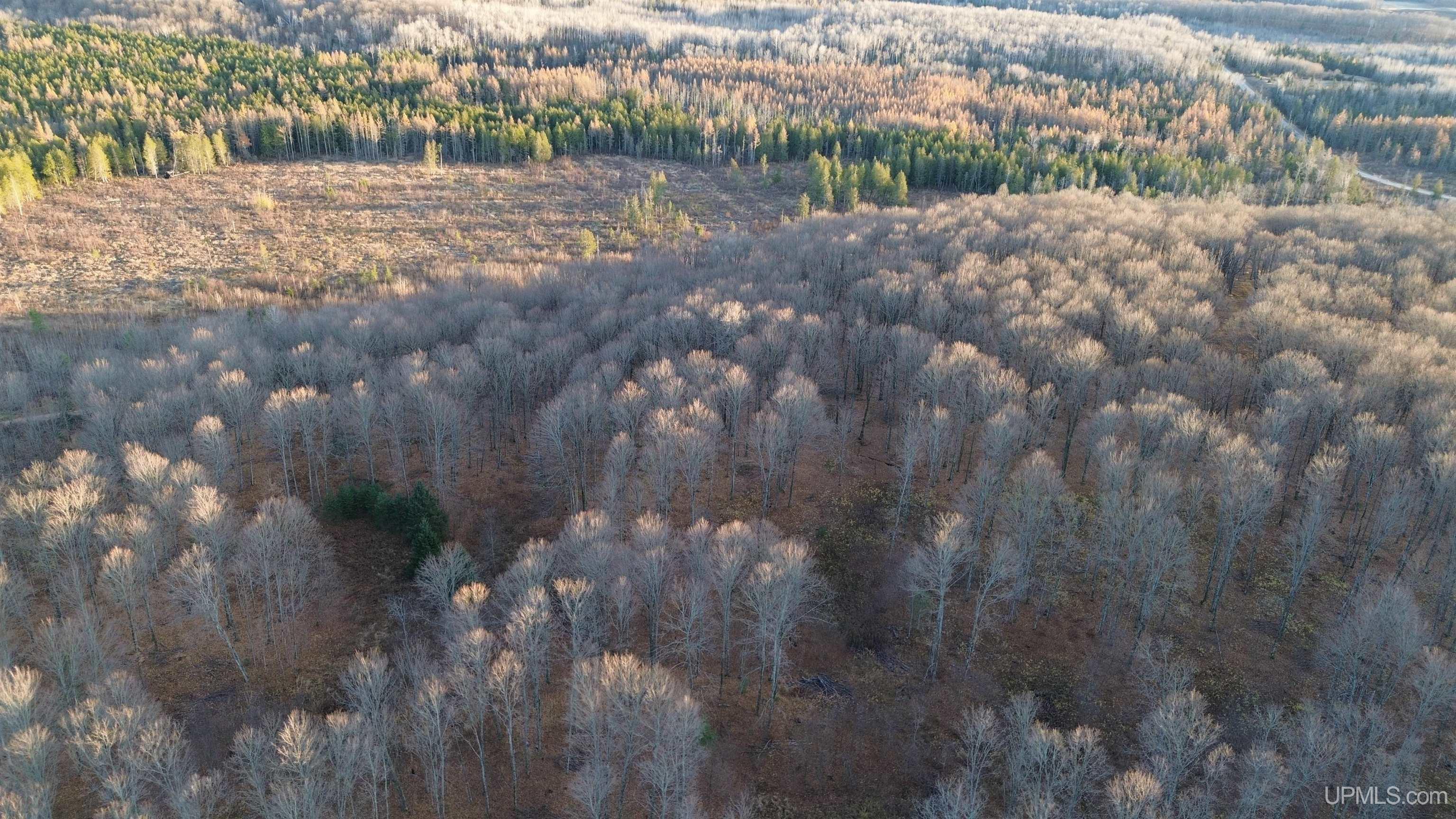 M26 M 5 Road Felch, MI 49831 - Photo 5 of 12