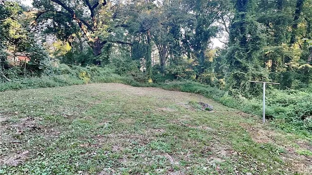 a view of a forest with trees in the background