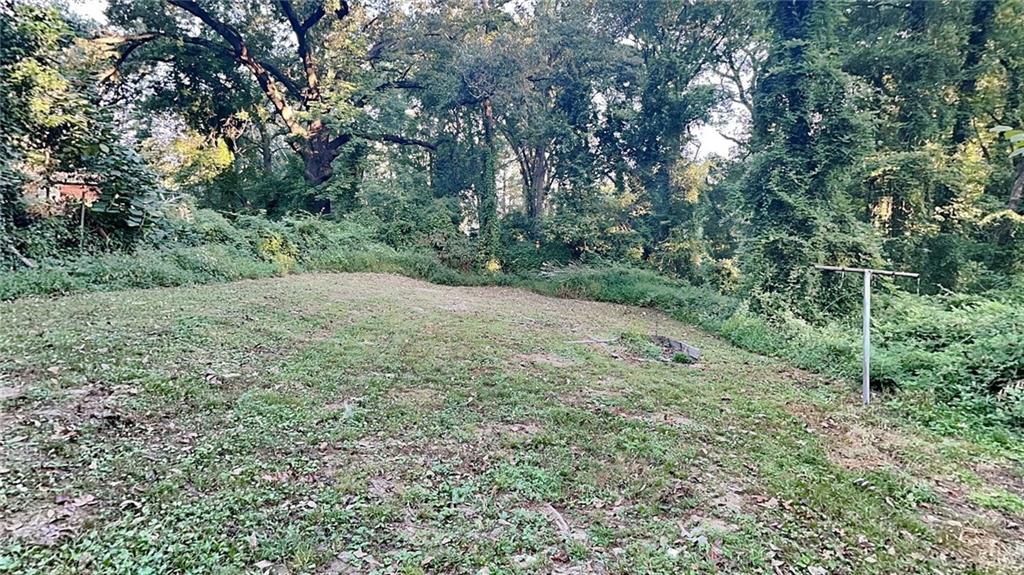 2875 3rd Avenue Southwest, Unit B Atlanta, GA 30315 - Photo 17 of 20 a view of a forest with trees in the background