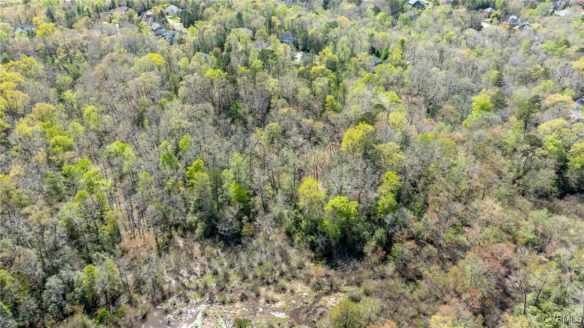 3352 Morning Mist Lane Toano, VA 23168 - Photo 11 of 21 a view of a forest with a tree