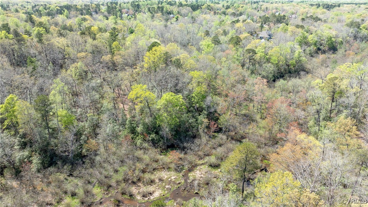 3352 Morning Mist Lane Toano, VA 23168 - Photo 12 of 21 a view of a forest with large trees