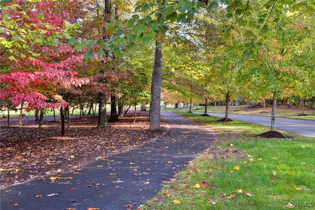 3352 Morning Mist Lane Toano, VA 23168 - Photo 18 of 21 a view of park with trees