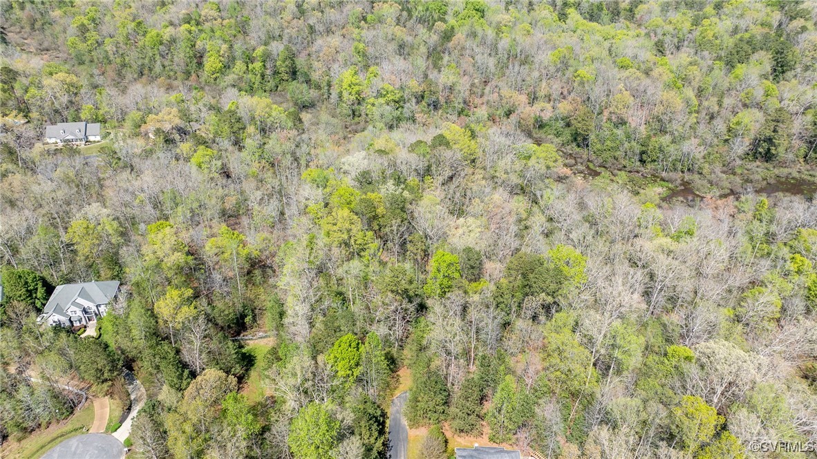 3352 Morning Mist Lane Toano, VA 23168 - Photo 4 of 21 a close view of a forest