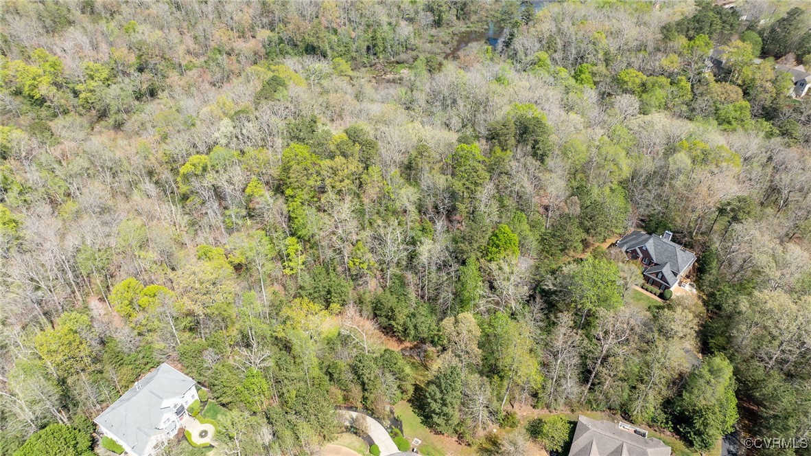 3352 Morning Mist Lane Toano, VA 23168 - Photo 5 of 21 a view of a forest with a tree