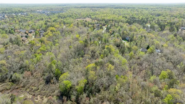 an aerial view of forest