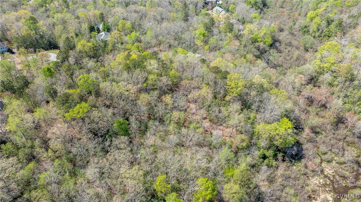 3352 Morning Mist Lane Toano, VA 23168 - Photo 9 of 21 a view of a forest with a tree