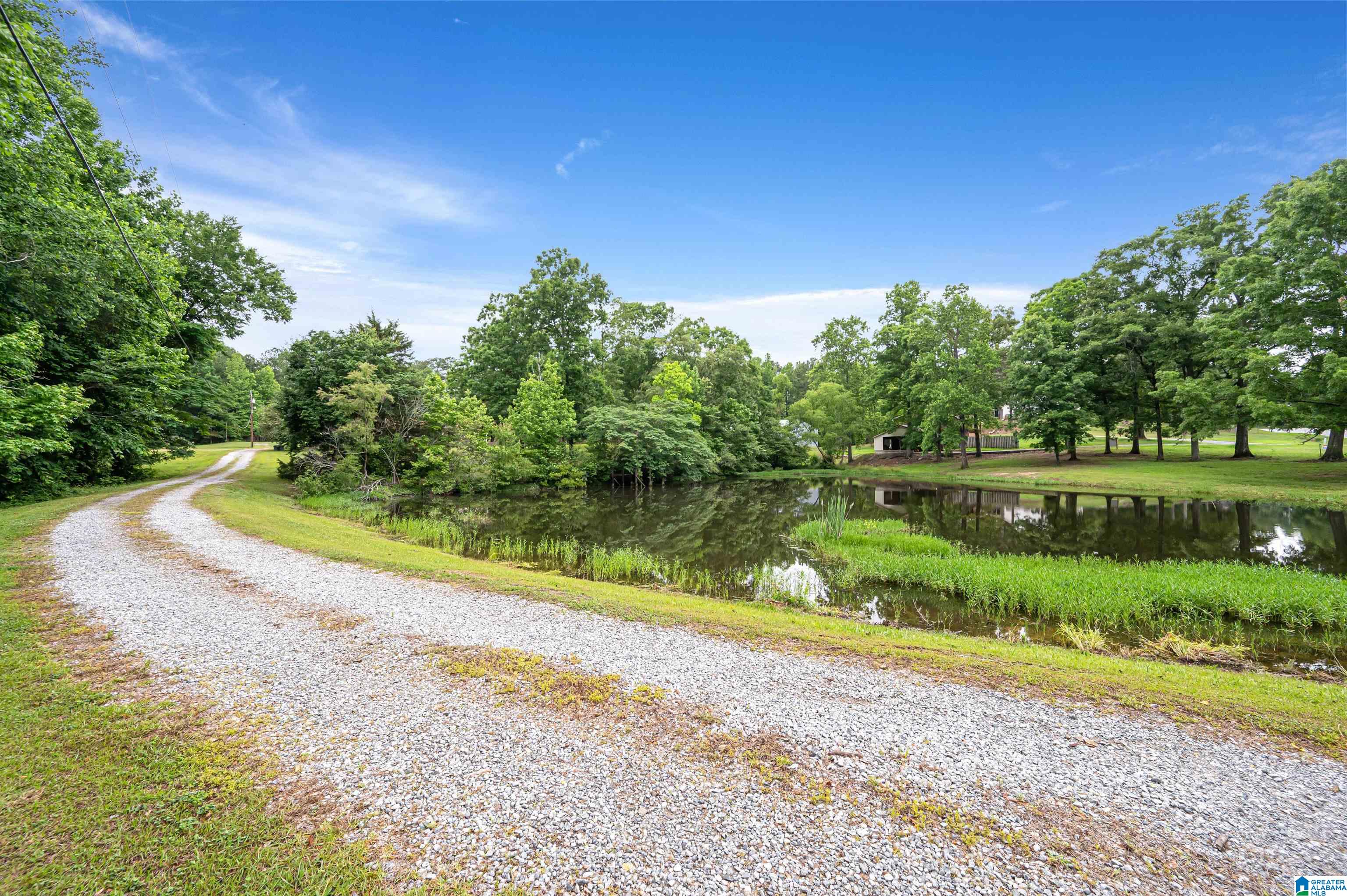 3869 Highway 155 Montevallo, AL 35115 - Photo 51 of 66