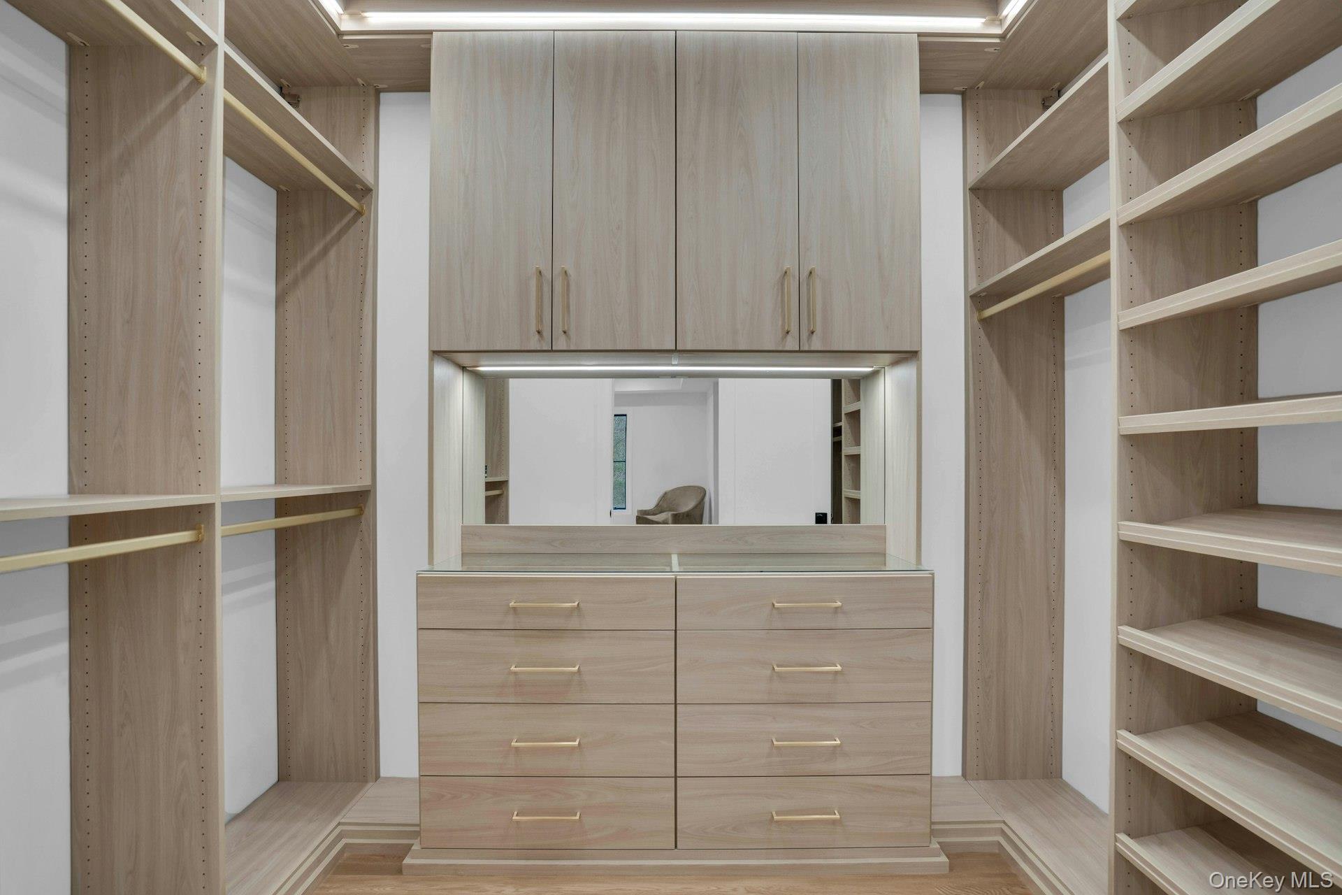 Lot 1-1003 Baldwin Path Dix Hills, NY 11746 - Photo 39 of 50 a view of walk in closet