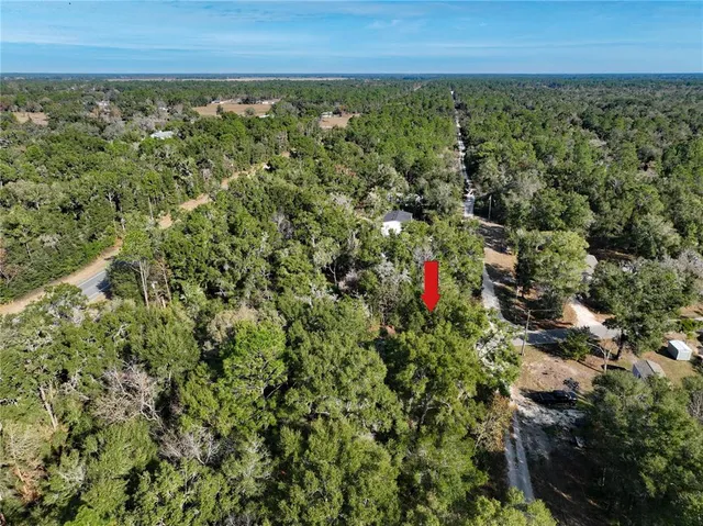 an aerial view of residential houses with outdoor space and trees