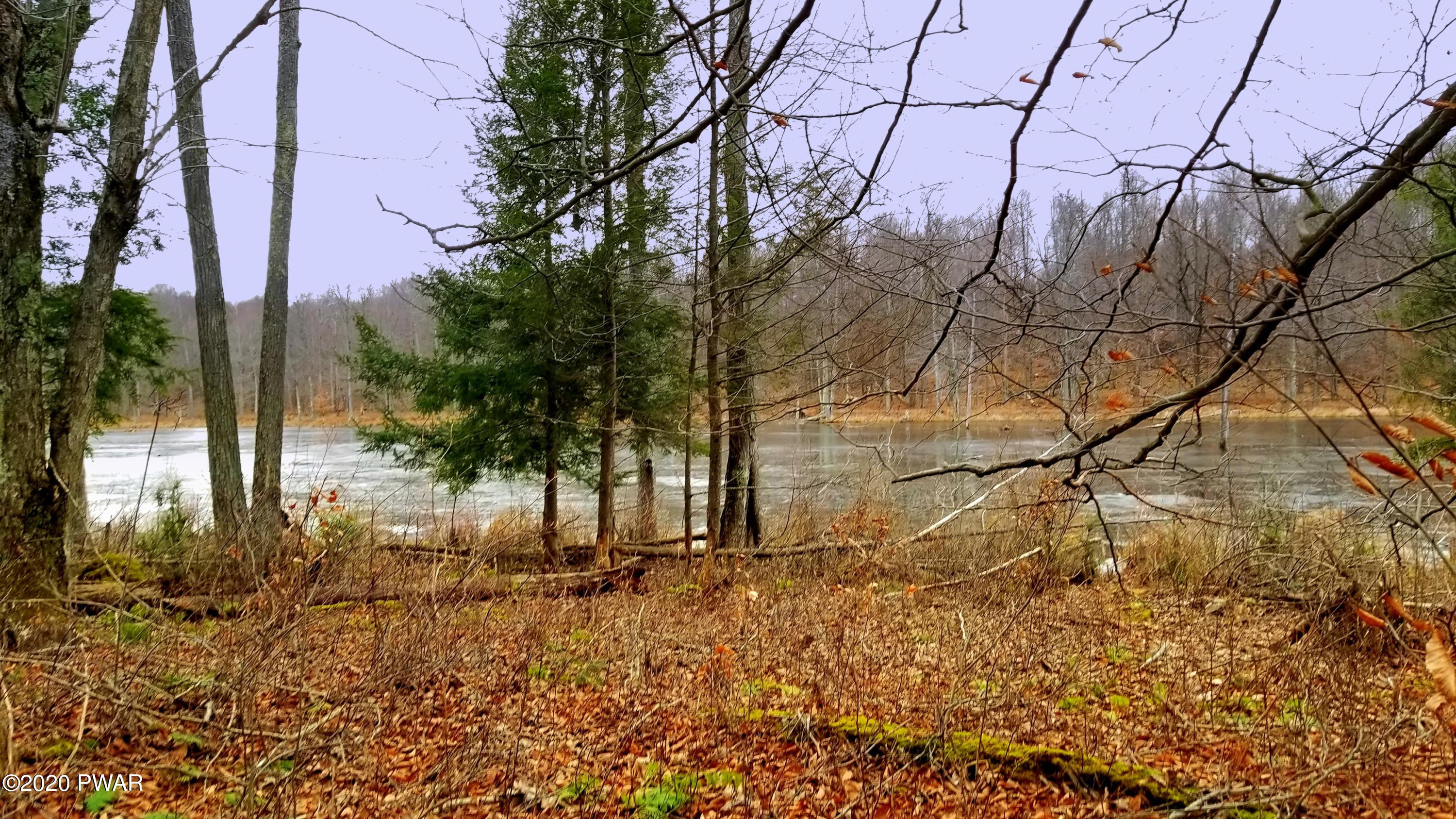 Lot 80 Stonegate Road Equinunk, PA 18417 - Photo 43 of 58