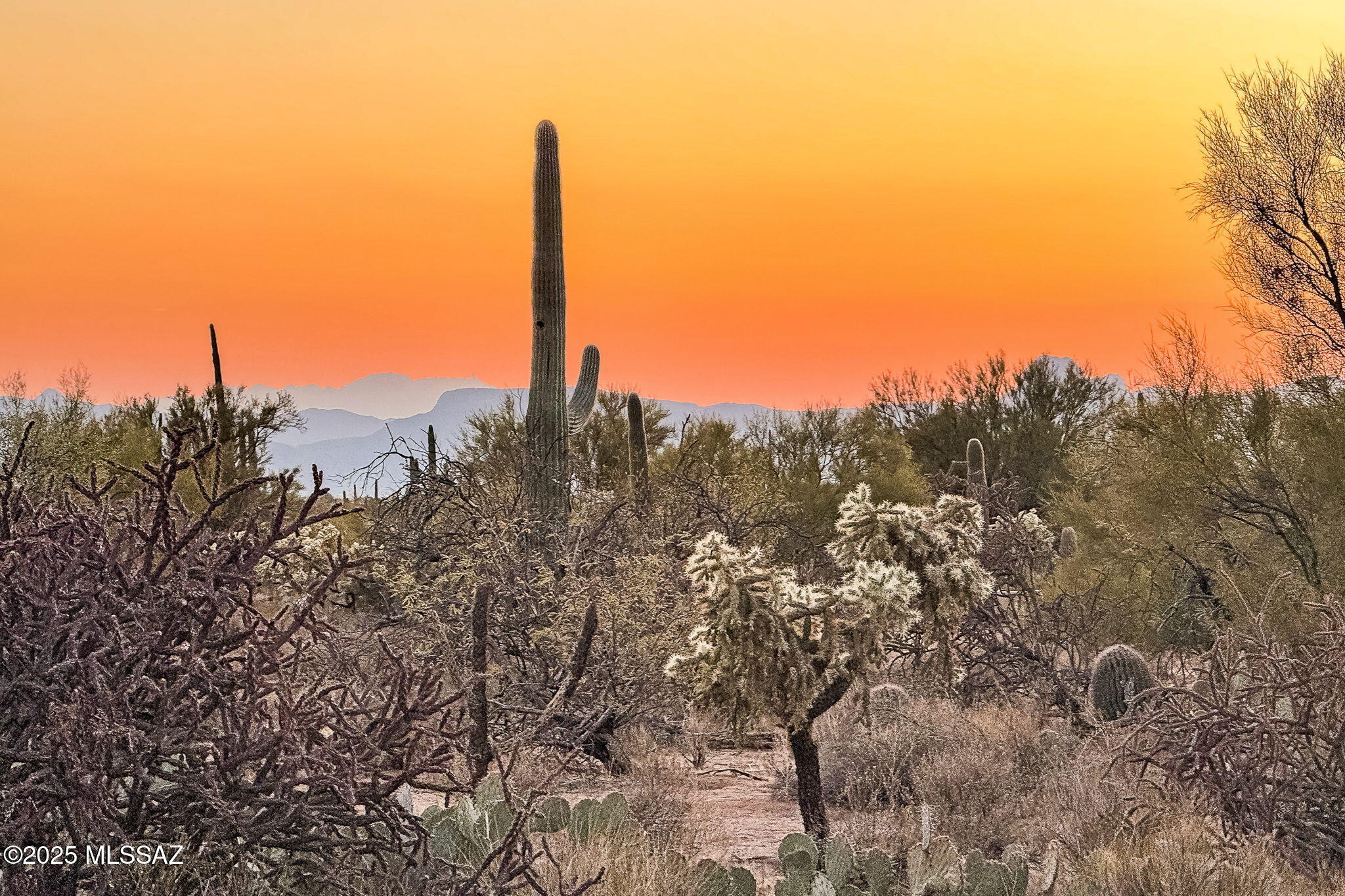 11880 North Shannon Road, Unit 15 Tucson, AZ 85742 - Photo 16 of 17