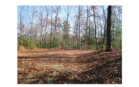 Tba Emory Shield Road Murphy, NC 28906 - Photo 1 of 1 Main View