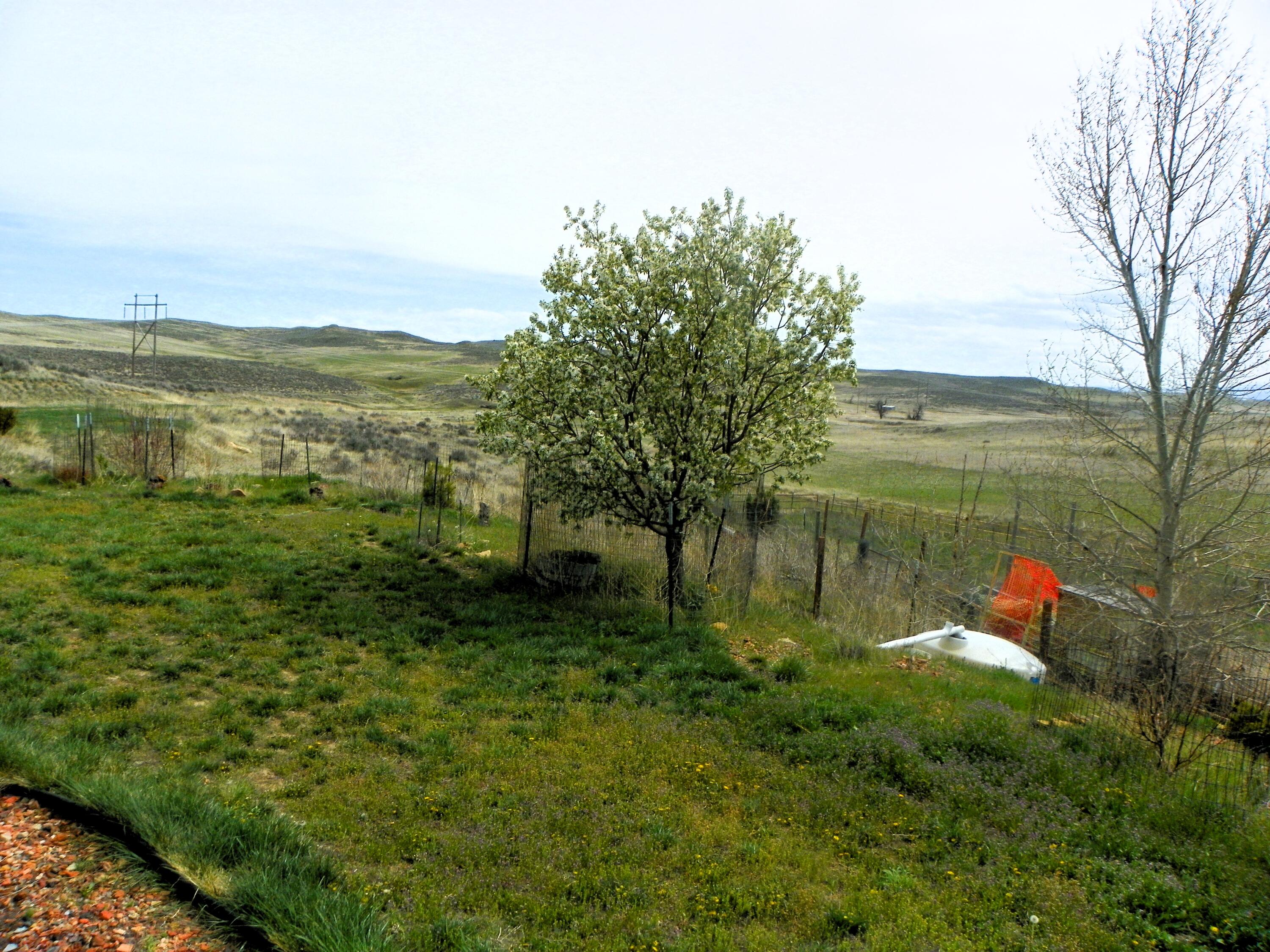 524 Beatty Gulch Road Sheridan, WY 82801 - Photo 36 of 47 100_2453