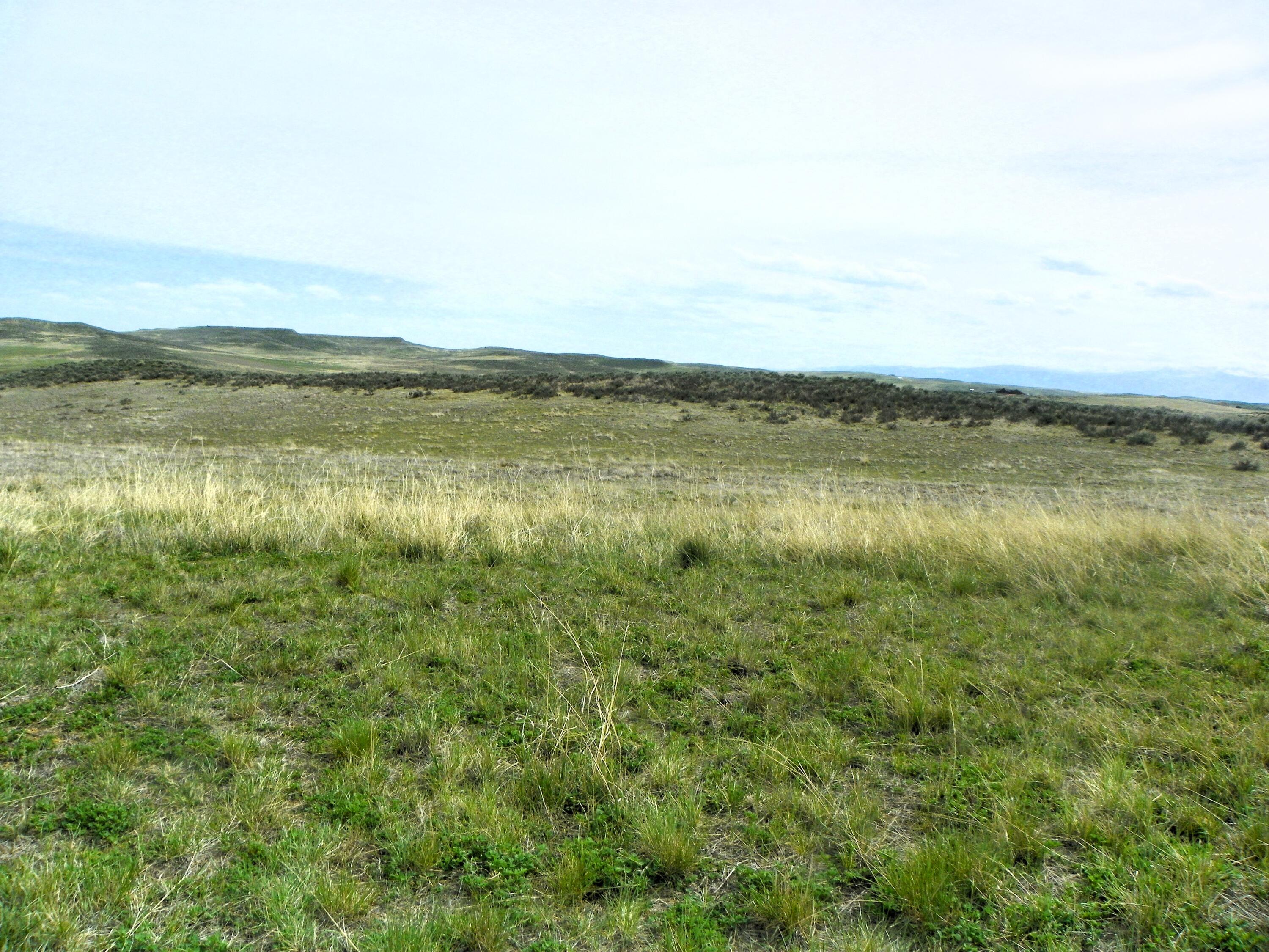 524 Beatty Gulch Road Sheridan, WY 82801 - Photo 41 of 47 100_2458