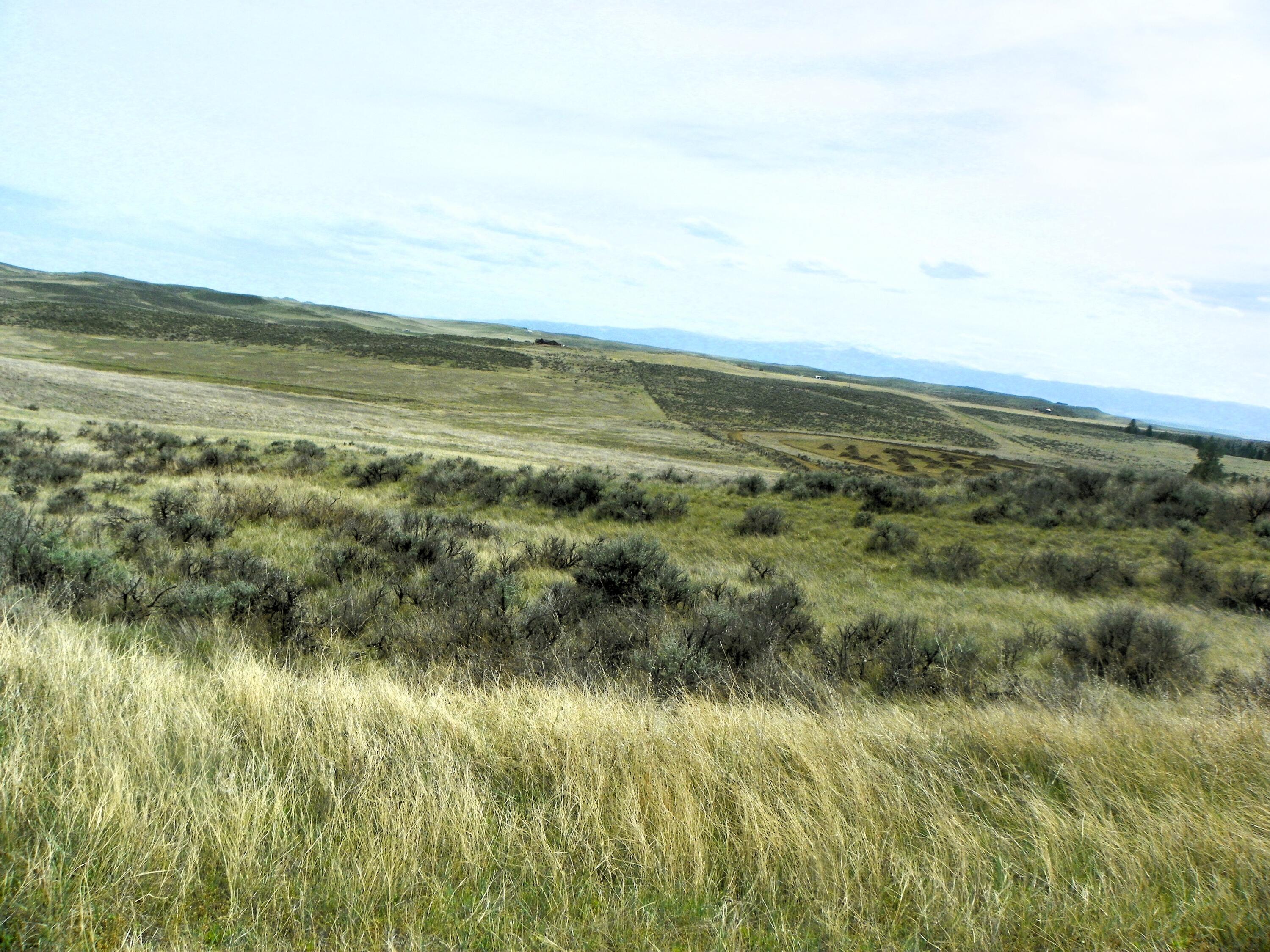 524 Beatty Gulch Road Sheridan, WY 82801 - Photo 42 of 47 100_2459
