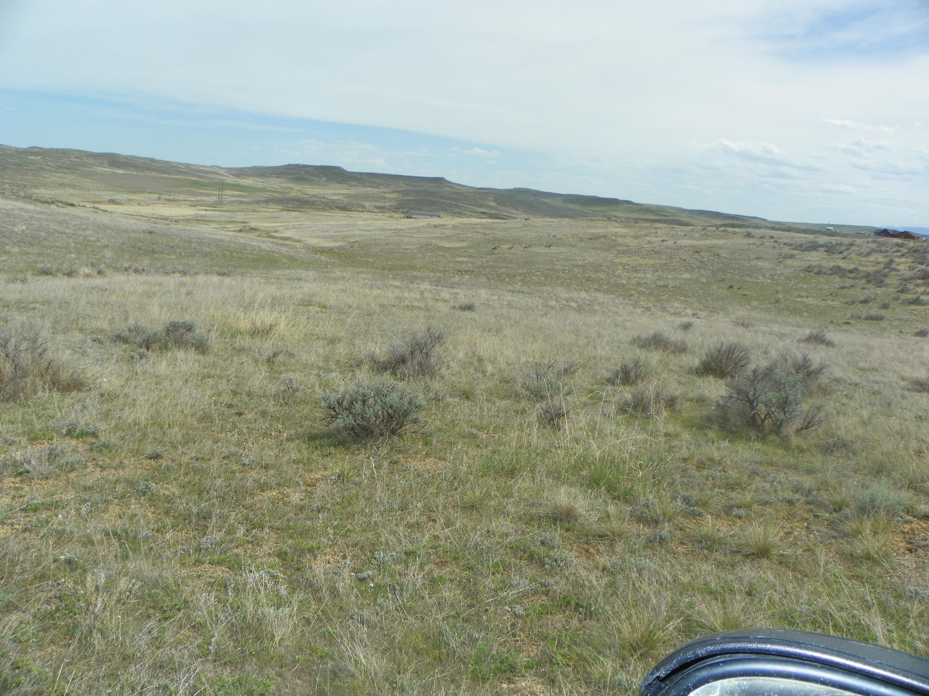 524 Beatty Gulch Road Sheridan, WY 82801 - Photo 45 of 47 100_2464