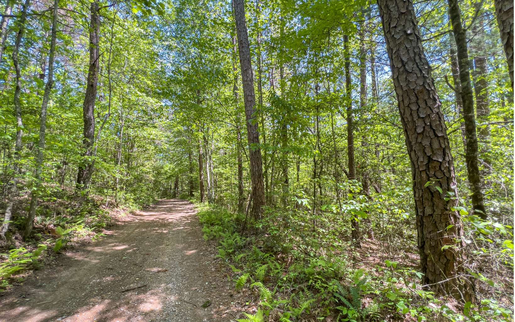 9.33 A Havanogotta Road Mineral Bluff, GA 30559 - Photo 29 of 48 Additional View