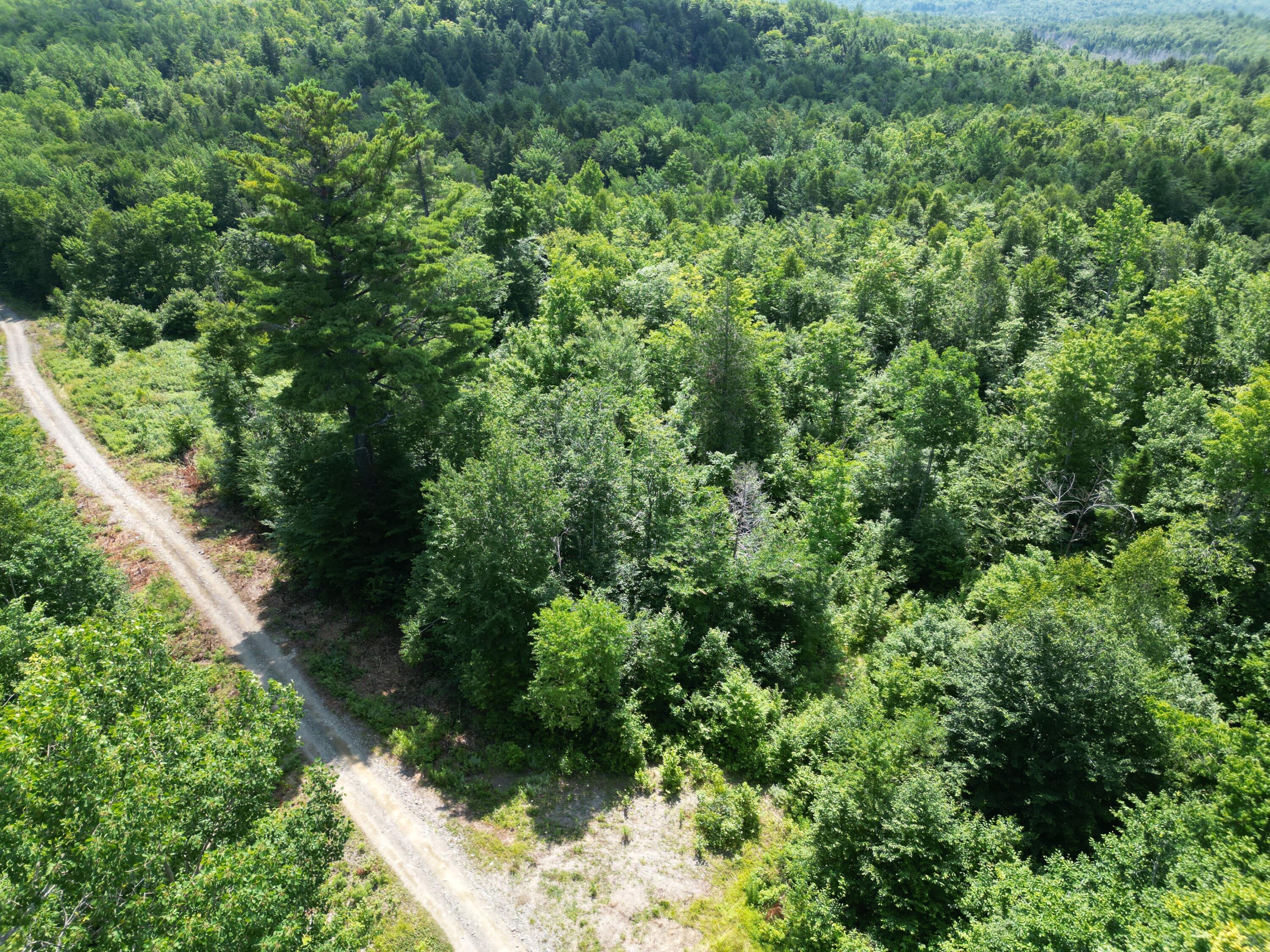 Lot 6 Moores Road Springfield, ME 04487 - Photo 9 of 12 DJI_0978
