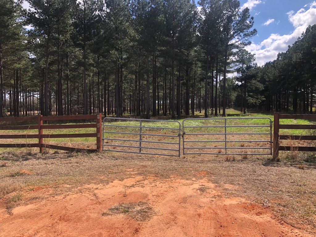 68 County Road 68 Dothan, AL 36305 - Photo 4 of 5