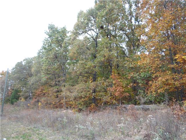 0 Center Road Lawrenceburg, TN 38464 - Photo 3 of 3 Gallery Image 3