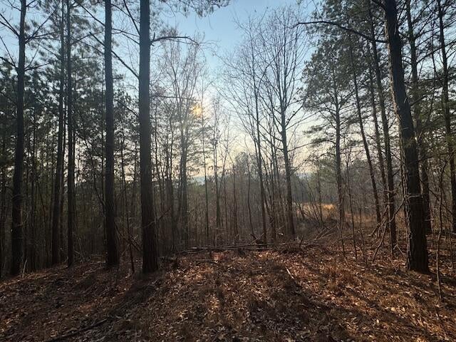 Stella Lockard Road Cordova, AL 35550 - Photo 15 of 18 IMG_9797