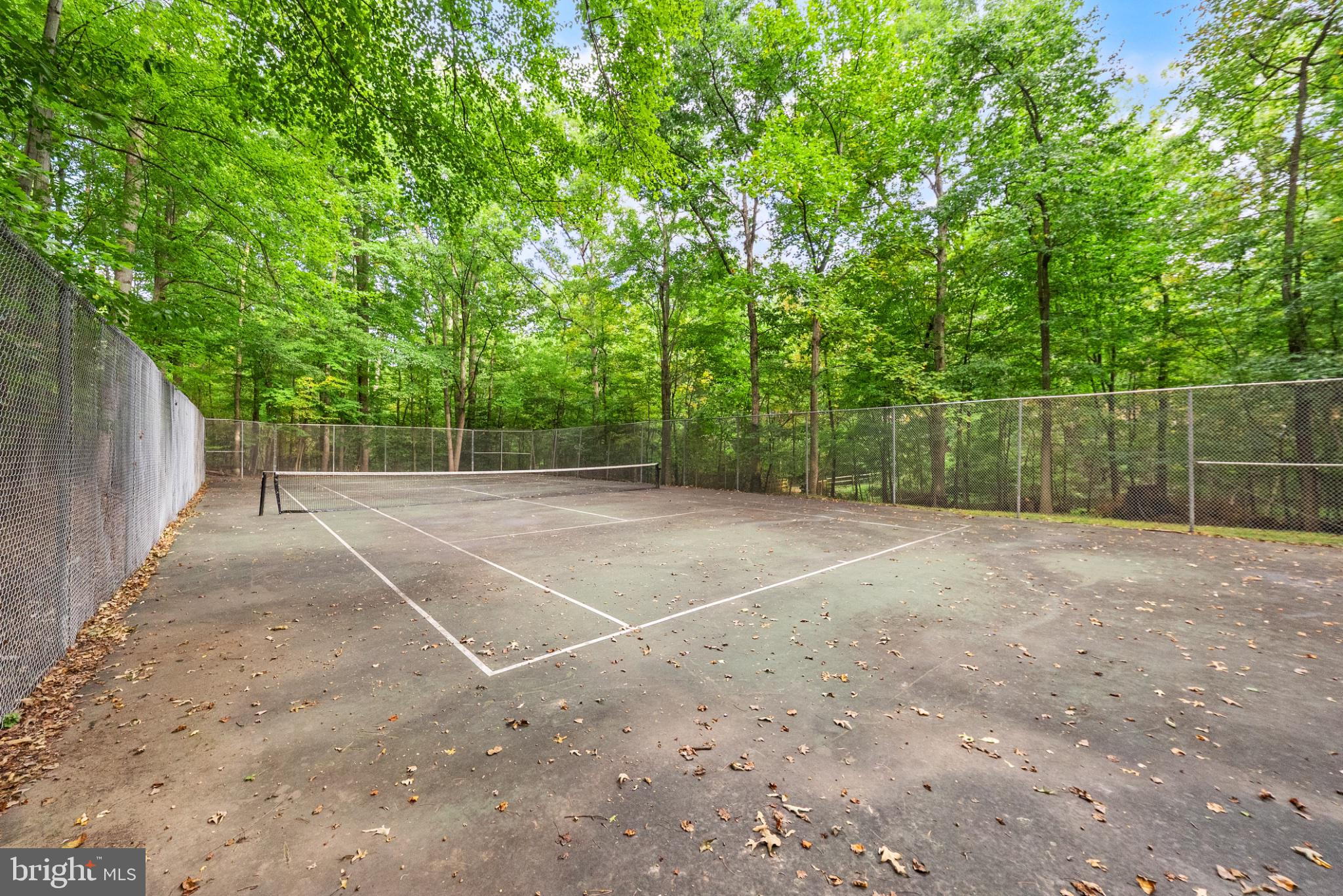 2311 Harleyford Court Reston, VA 20191 - Photo 45 of 46 Tennis court