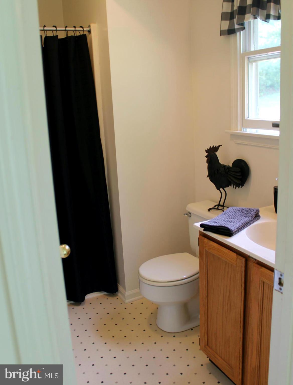 15405 Dover Road Upperco, MD 21155 - Photo 14 of 22 a bathroom with a sink and a toilet