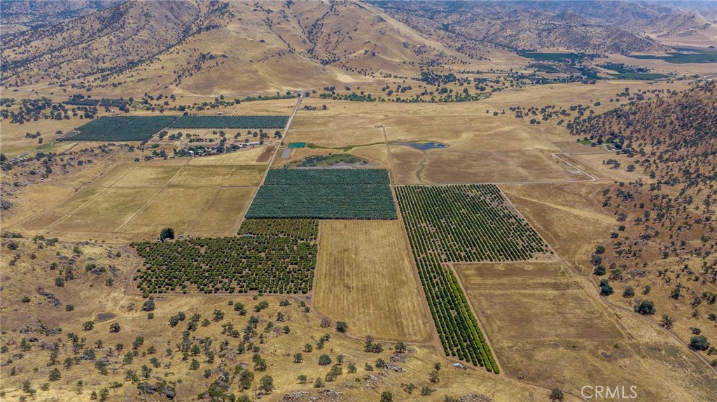 19400 398th Woodlake, CA 93286 - Photo 22 of 51