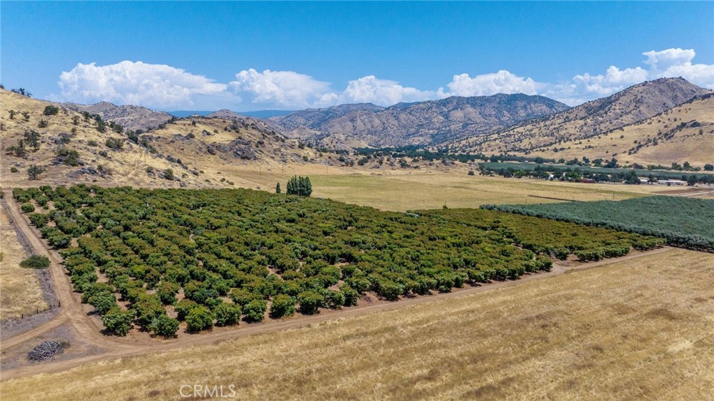 19400 398th Woodlake, CA 93286 - Photo 28 of 51 a view of a lake with a mountain in the background