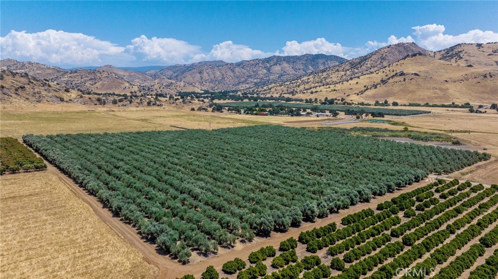 19400 398th Woodlake, CA 93286 - Photo 30 of 51 a view of a lake with a mountain in the background