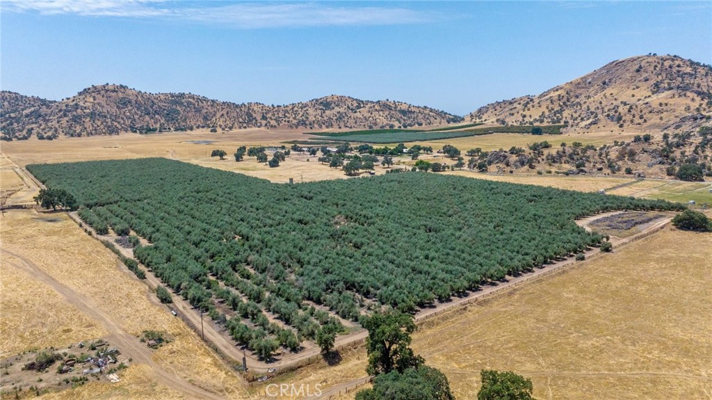 19400 398th Woodlake, CA 93286 - Photo 36 of 51 a view of a field with a mountain in the background