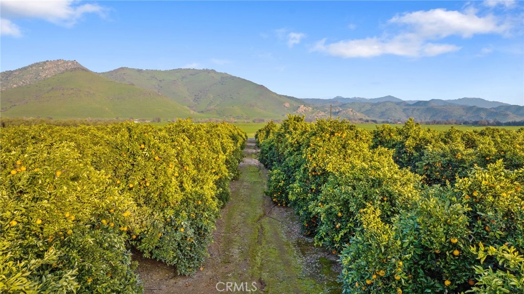 19400 398th Woodlake, CA 93286 - Photo 40 of 51 a view of a town with mountains in the background