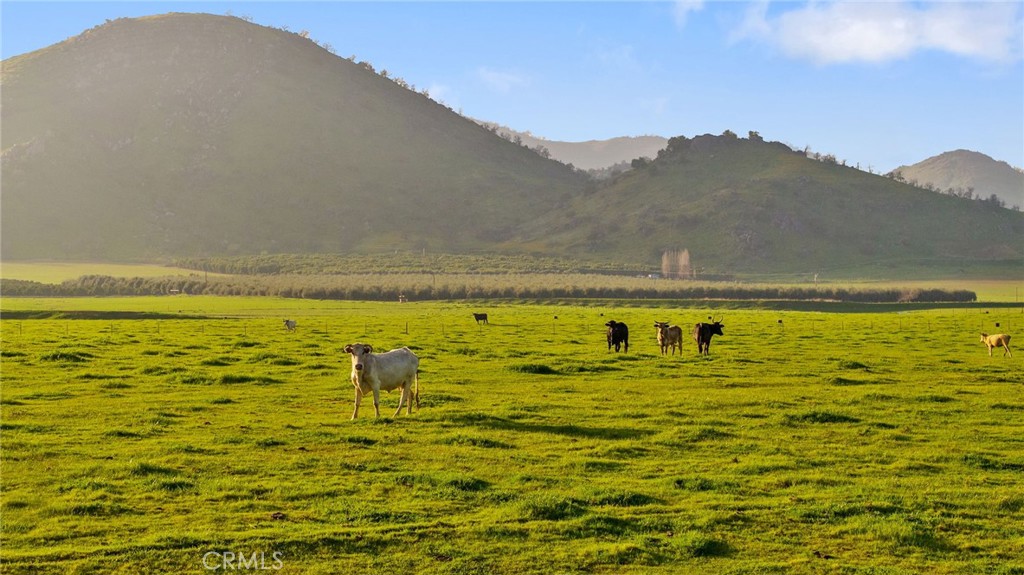 19400 398th Woodlake, CA 93286 - Photo 5 of 51 a view of an ocean view