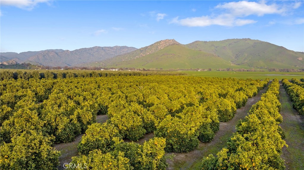 19400 398th Woodlake, CA 93286 - Photo 51 of 51 a view of mountain with an outdoor space