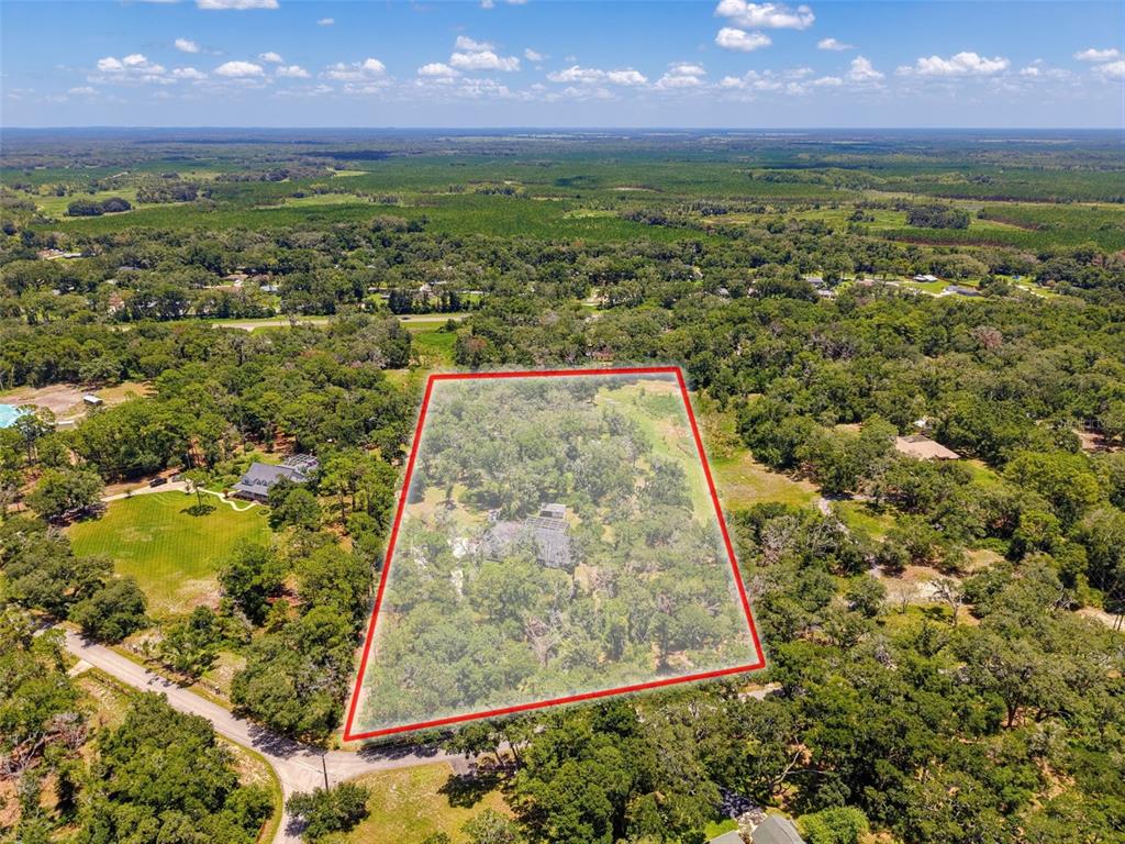 15234 Scanio Drive Spring Hill, FL 34610 - Photo 98 of 99