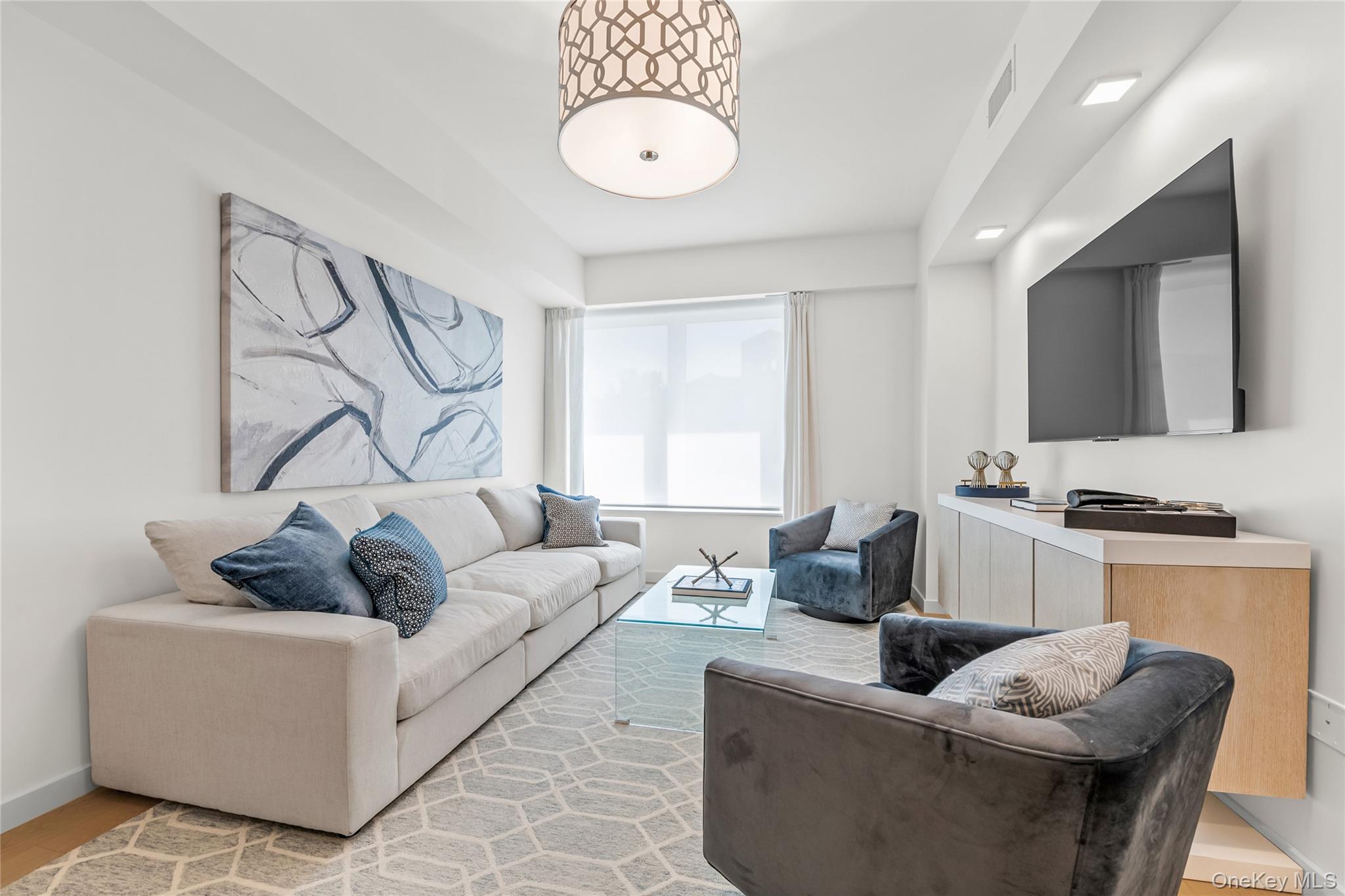 218 Middle Neck Road, Unit 207 Great Neck, NY 11021 - Photo 19 of 32 a living room with furniture and a flat screen tv