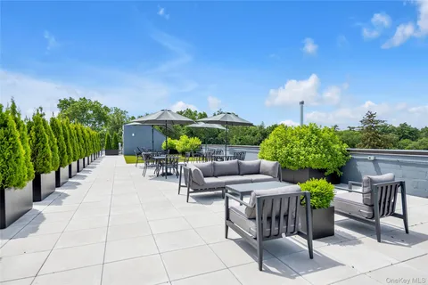 a view of a patio with plants and a garden