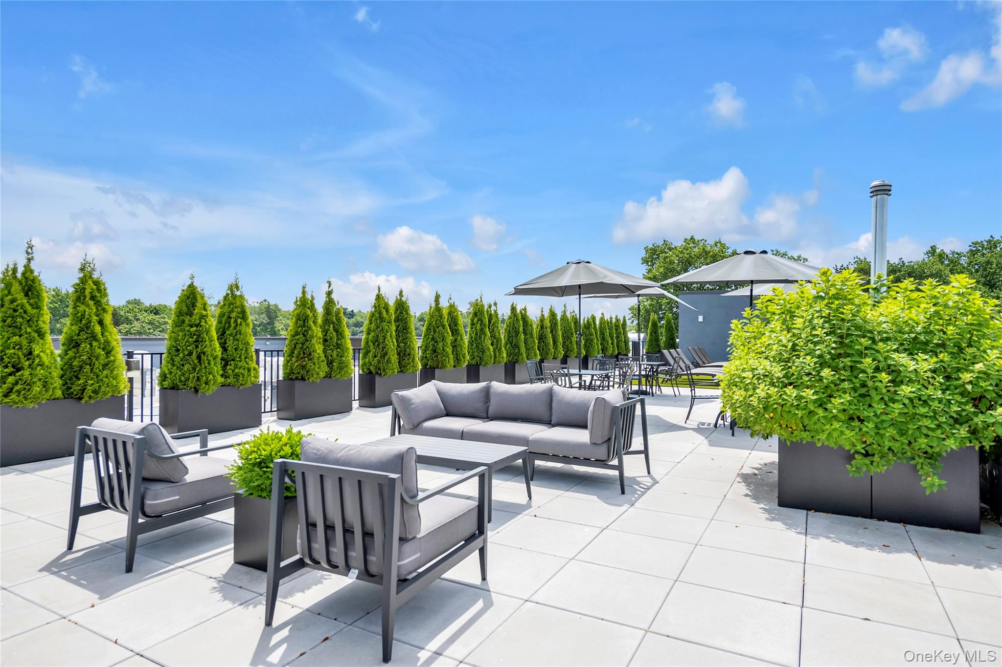 218 Middle Neck Road, Unit 207 Great Neck, NY 11021 - Photo 7 of 32 a patio with patio area and potted plants