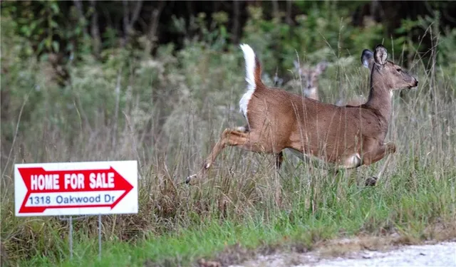$695,000 | 1318 Oakwood Drive, Hollister, MO 65672