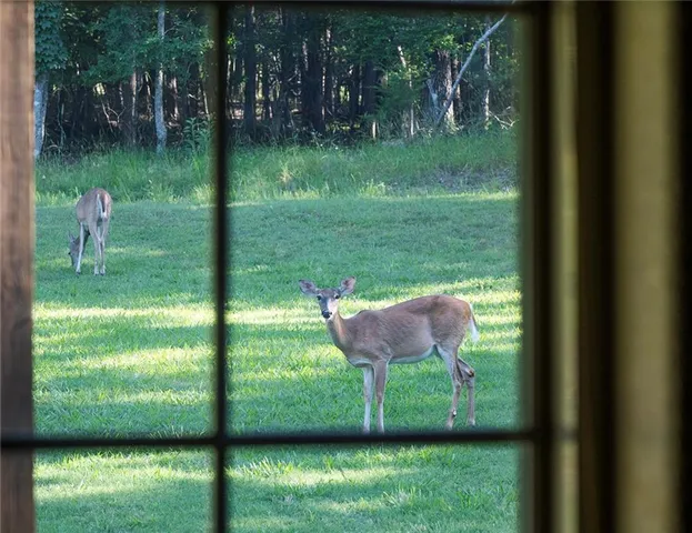 $695,000 | 1318 Oakwood Drive, Hollister, MO 65672