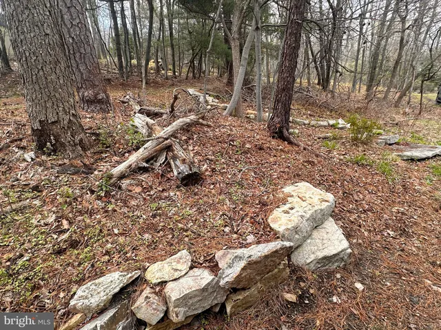 a view of covered with green space