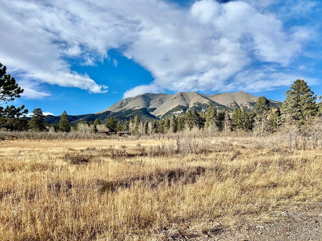 10401 Windy Ridge Road Aguilar, CO 81020 - Photo 15 of 24 a view of large trees with a yard