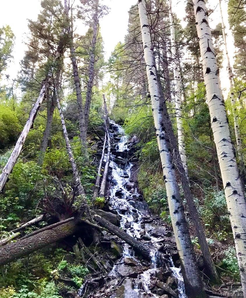 10401 Windy Ridge Road Aguilar, CO 81020 - Photo 19 of 24 a view of a garden with a tree