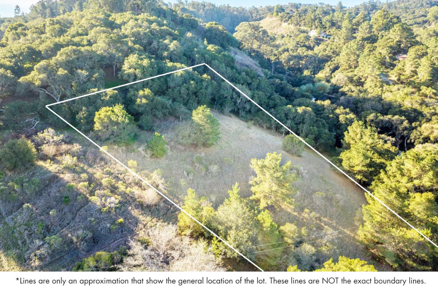 19378 Oak Ridge Drive Aromas, CA 95004 - Photo 3 of 10 a view of a small yard