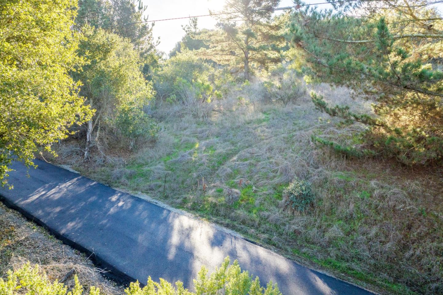 19378 Oak Ridge Drive Aromas, CA 95004 - Photo 5 of 10 a view of a yard with a tree